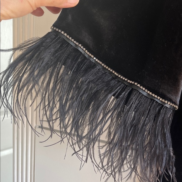Alex & Eve Black Velvet Dress with Feathered Sleeves - Picture 3 of 6